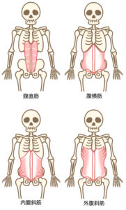 いい姿勢を維持するための筋肉