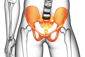 下腹が痛い原因＿仙腸関節