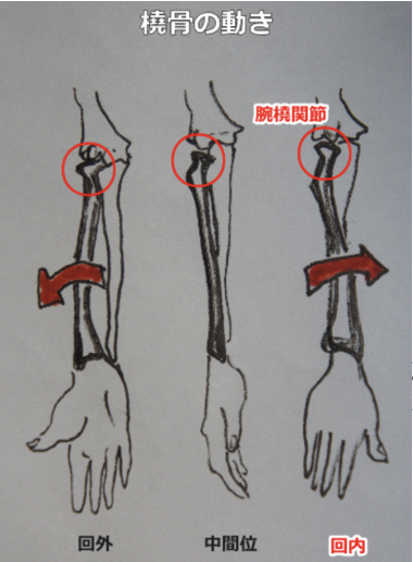 橈骨の回内・回外