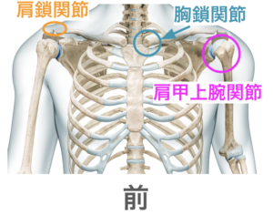 五十肩の原因　肩甲上腕関節