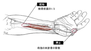 整体 ばね指
